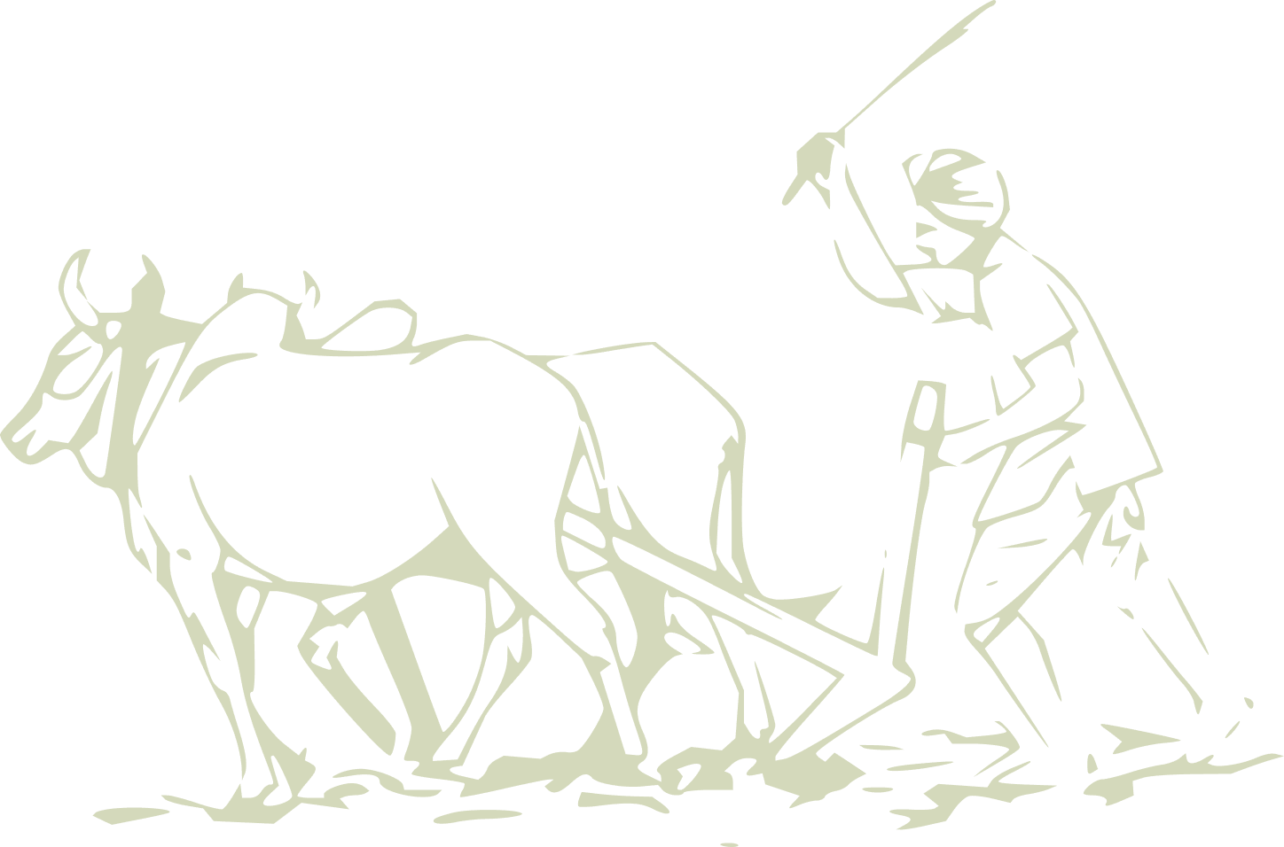 About Bharat Connect