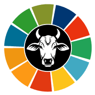 SDG Logo